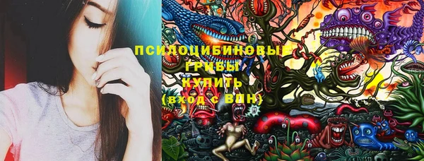 шишки Алексеевка