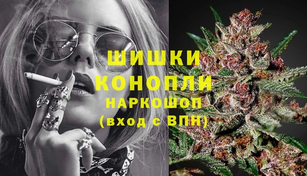 шишки Алексеевка