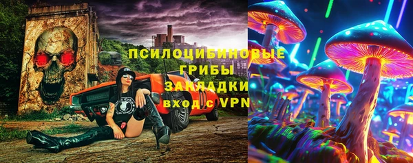 apvp Алзамай