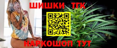 крисы Новодвинск