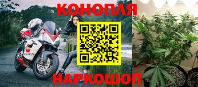 крисы Новодвинск