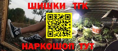 крисы Новодвинск