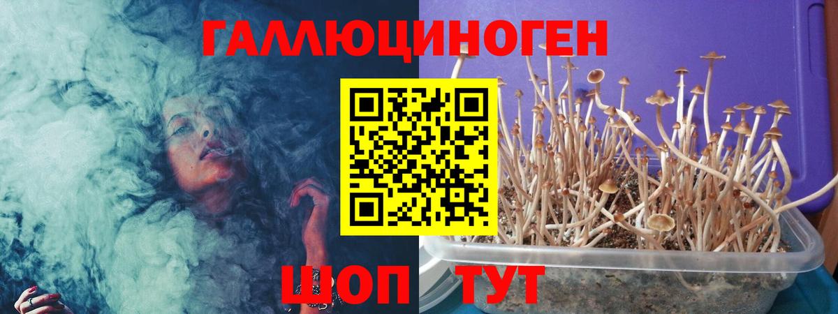 Волоколамск  Галлюциногенные грибы GOLDEN TEACHER  Вход с VPN 