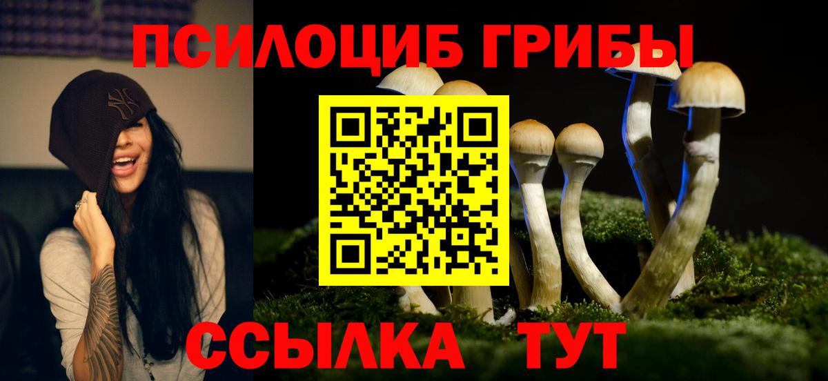 Псилоцибиновые грибы мухоморы Волоколамск
